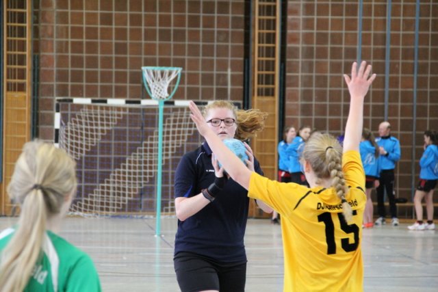 2017_02_19 Landesliga Frauen und Jugend 19